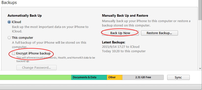 enetr password to unlock iphone backup