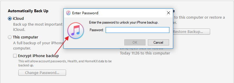 lost iphone backup password